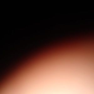 Meet your Posher, Shane